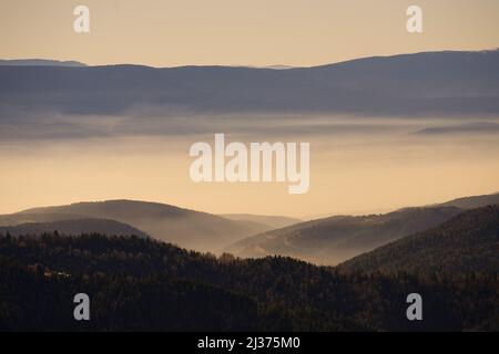 Paysage pittoresque avec des montagnes couvertes de brouillard. Parc national de Yedigoler, Bolu, Turquie. Banque D'Images