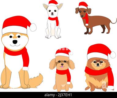 Une collection de différents chiens dans la clause de Santa chapeau et tricoté avec fond blanc Banque D'Images