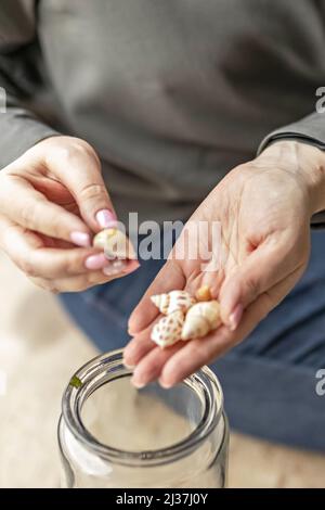 Les mains des femmes tiennent les coquillages. Place les coquilles dans un pot en verre. Trésors de la plage. Banque D'Images