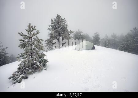 Tente dans la pinède enneigée de l'Etna Park, Sicile Banque D'Images