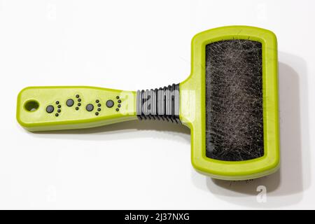 Vue de dessus de la brosse pour animaux verte en plastique sur un arrière-plan blanc isolé. Brosse utilisée pour le toilettage des animaux de compagnie. La brosse est dotée de poils gris. Banque D'Images