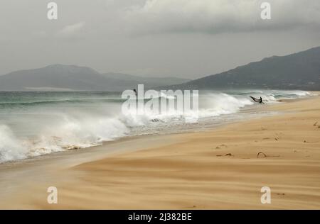 Surfeurs à la plage de Playa de Los Lances, vagues s'écrasant sur la côte, temps venteux à Tarifa Andalousie Espagne. Banque D'Images