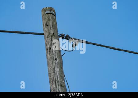 Connexions sur un ancien poteau électrique en bois contre le ciel. Banque D'Images