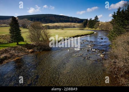 Une vue ensoleillée en amont de la rivière Esk depuis le pont à Bentpath Banque D'Images