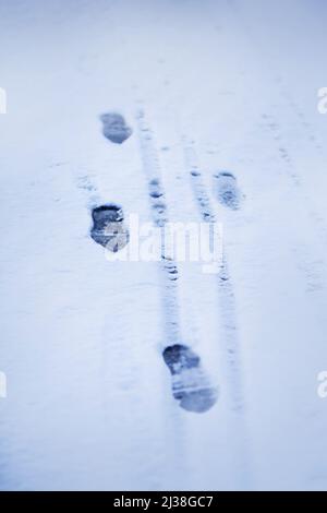 Les empreintes d'un homme qui a marché seul le jour de janvier sont laissées sur la neige douce blanche. Hiver. Banque D'Images