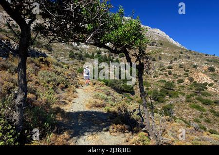 Sentier entre les monastères panagia Kamariani et Pandeleimon, île de Tilos, îles Dodécanèse, sud de la mer Égée, Grèce. Banque D'Images