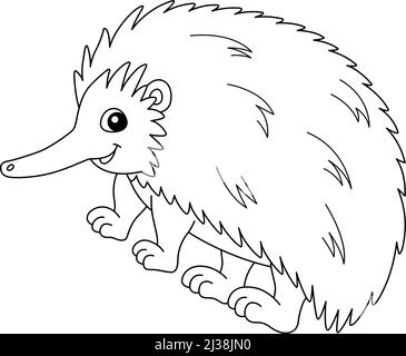 Echidna Animal coloriage page isolé pour les enfants Illustration de Vecteur