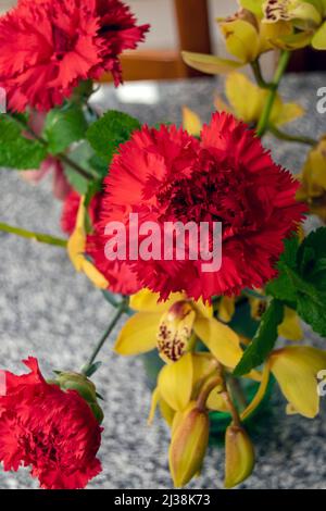 Fleurs de Dianthus, fleur de Carnation, la carnation rouge est liée à des sentiments comme l'estime, l'affection, l'admiration et l'amour. Fleur nationale d'Espagne. Banque D'Images