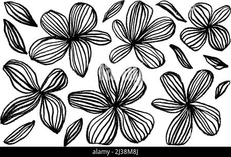 Ensemble vectoriel moderne de fleurs linéaires noires. Illustration de Vecteur