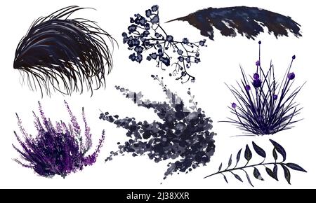 Aquarelle set jardin de nuit isolé sur un fond blanc. Bouquet d'herbes sèches. Décor tendance Banque D'Images