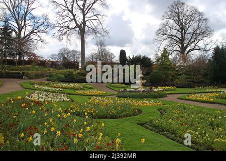 Le Dingle au printemps, Shrewsbury Banque D'Images