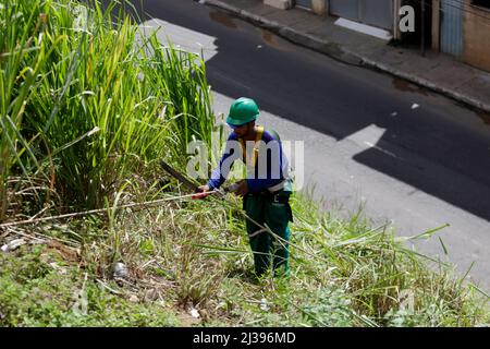 salvador, bahia, brésil - 16 mai 2019 : le balai de rue efface le pinceau sur une colline en utilisant la technique de rappel dans le quartier de Narandiba dans la ville Banque D'Images