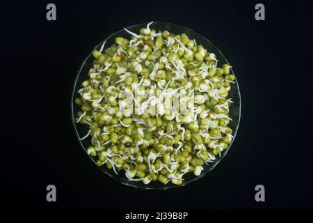 Vert grammes masoor dal alamy images images stock images Banque D'Images