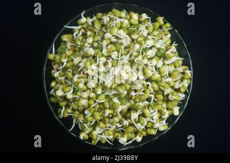 Vert grammes masoor dal alamy images images stock images Banque D'Images