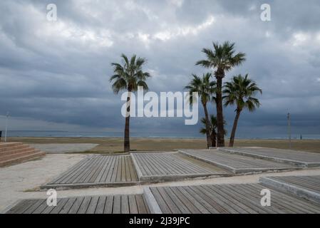 11 août 2020, promenade de finikoudes avec palmiers près de la mer à chypre à Larnaca Banque D'Images