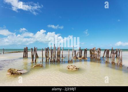 poteaux en bois dans le sable d'une plage paradisiaque et calme Banque D'Images