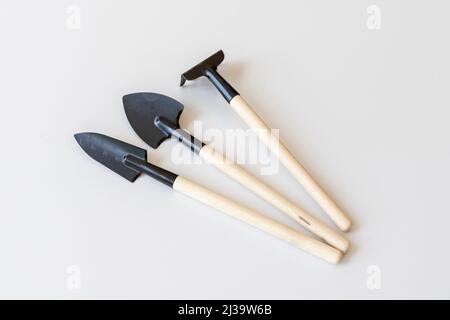 Ensemble d'outils de jardinage miniatures avec fond blanc Banque D'Images