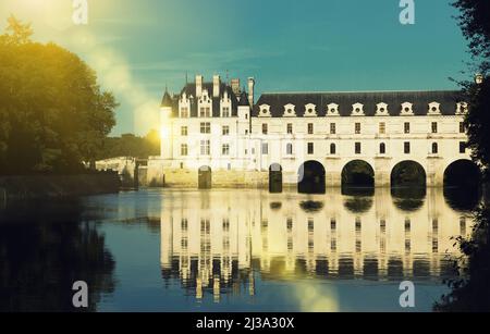 Galerie et salon du Château de Chenonceau Banque D'Images