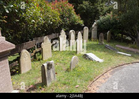 Nouvelle-Zélande, Wellington - janvier 11 2020 : vue des pierres à tête au cimetière de Bolton Street le 11 2020 janvier à Wellington, Nouvelle-Zélande. Banque D'Images