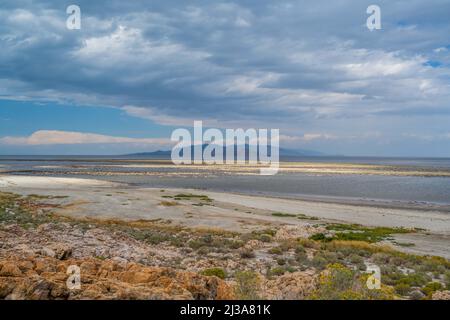 Vue sur la nature à Antelope Island SP, Utah Banque D'Images