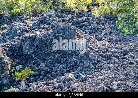 L'île Rangitoto est une île volcanique située dans le golfe d'Hauraki, près d'Auckland, en Nouvelle-Zélande. Banque D'Images