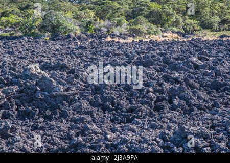 L'île Rangitoto est une île volcanique située dans le golfe d'Hauraki, près d'Auckland, en Nouvelle-Zélande. Banque D'Images