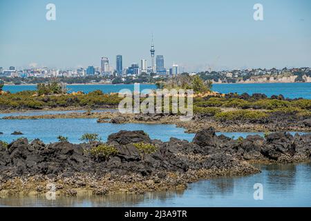 L'île Rangitoto est une île volcanique située dans le golfe d'Hauraki, près d'Auckland, en Nouvelle-Zélande. Banque D'Images