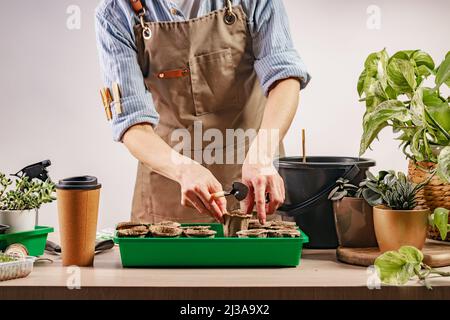 Processus de préparation des semis prépendés pour la nouvelle saison. Personne méconnaissable. Concept de jardinage à la maison. Vie domestique et passe-temps Banque D'Images