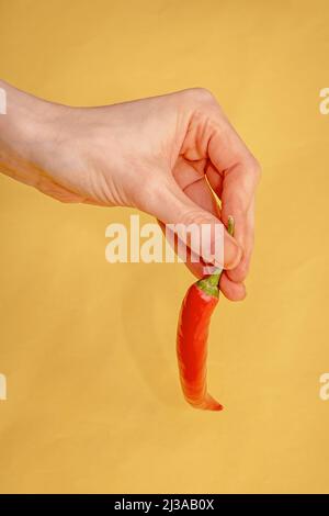 Main de femme tenant le piment rouge chaud sur fond jaune Banque D'Images