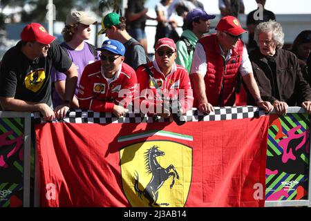 Albert Park, Melbourne, Victoria, Australie. 07th avril 2022. FIA Formula One World Championship 2022 - Formule 1 Rolex Australian Grand Prix - Ferari fans vus sur Melbourne Walk - image Credit: brett keating/Alay Live News Banque D'Images