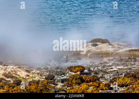 Source chaude qui coule dans la mer, la côte rocheuse à la vapeur près de Reykjanes, Suoavik, fjord Isafjaroardjup, Vestfiroir, Westfjords, Islande Banque D'Images