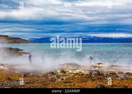 Source chaude qui coule dans la mer, touristes sur la côte rocheuse à la vapeur près de Reykjanes, Suoavik, fjord Isafjaroardjup, Vestfiroir, Westfjords Banque D'Images