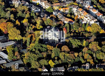 Flore de Cologne, jardin botanique, Cologne, Rhénanie-du-Nord-Westphalie, Allemagne Banque D'Images