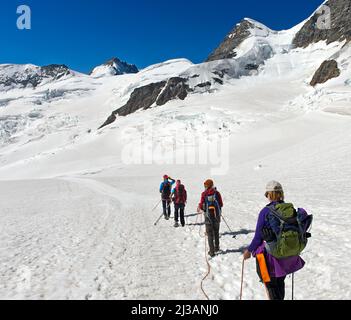 Guide de montagne avec alpinistes sur une corde traversant la Jungfraufirn, Rottalhorn derrière, Jungfraujoch, Grindelwald, Oberland bernois, Suisse Banque D'Images