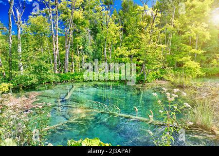 Soleil sur le lac Gradinsko jezero se reflétant dans le parc national des lacs de Plitvice de Croatie dans la région de Lika. Patrimoine mondial de l'UNESCO. Banque D'Images