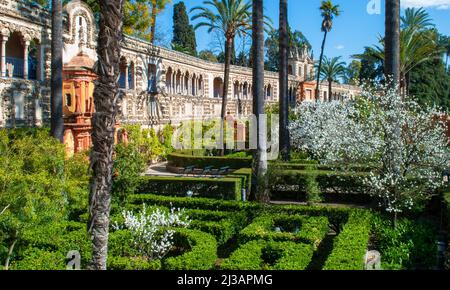 Les beaux jardins de l'Alcazar Séville Espagne Banque D'Images