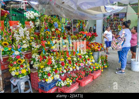 Fleurs, marché Mercado Lucas de Galvez, Merida, Yucatan, Mexique Banque D'Images