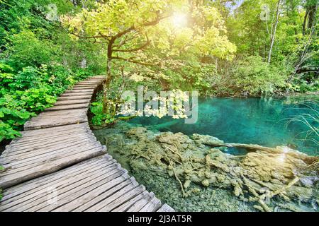 Soleil sur la jetée en bois de Milino Jezero leke du Parc National des lacs de Plitvice en Croatie dans la région de Lika. Patrimoine mondial de l'UNESCO Banque D'Images