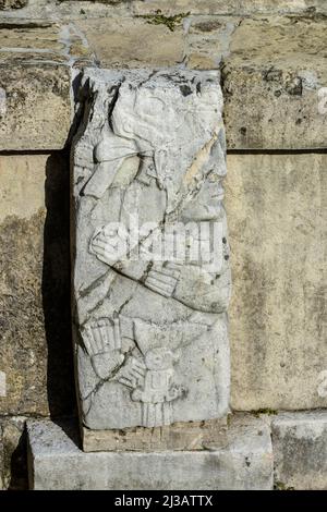 Relief de pierre dans le palais (El Palacio), ruines mayas, Palenque, Chiapas, Mexique Banque D'Images