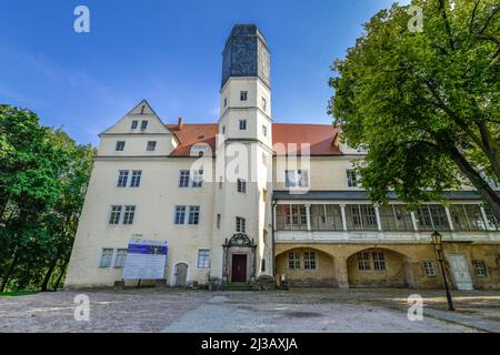 Château de Koethen, Schlossplatz, Koethen, Saxe-Anhalt, Allemagne Banque D'Images