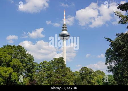 Tour de télévision, Mannheim, Bade-Wurtemberg, Allemagne Banque D'Images