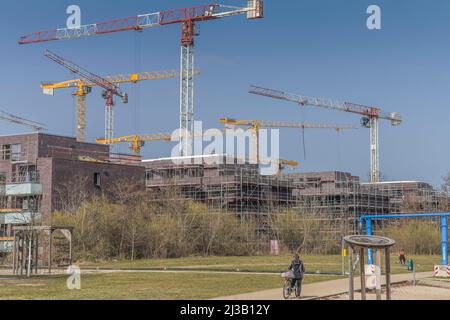 Nouveaux appartements de construction, Maselakepark, Hakenfelde, Spandau, Berlin, Allemagne Banque D'Images