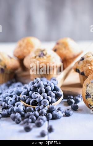 Myrtilles fraîches avec muffins aux myrtilles faits maison. Mise au point sélective sur les baies centrales avec un premier plan et un arrière-plan flous. Banque D'Images