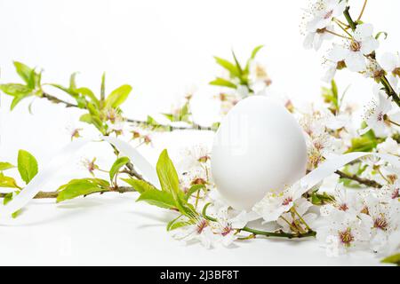 Œuf de Pâques blanc avec une branche de fleurs de prunier sauvages sur un fond clair avec espace de copie, mise au point sélectionnée, profondeur de champ étroite Banque D'Images