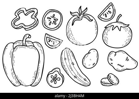 Ensemble de légumes vectoriels dessinés à la main. Pommes de terre, poivrons, concombre et tomates. Légumes entiers et morceaux coupés. Illustration vectorielle. Dessin linéaire à la main Illustration de Vecteur