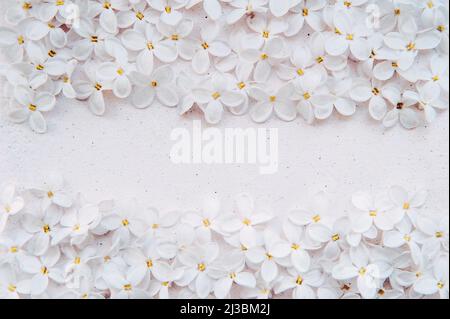 Cadre à fleurs naturelles. Modèle de Saint-Valentin avec espace de copie. Motif de fleurs lilas et espace vide pour la vue, le texte. Cadre de pétales de lilas sur blanc Banque D'Images
