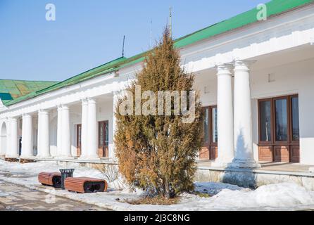 Un sapin à feuilles persistantes se dresse dans la neige sur fond de mur avec colonnes. Printemps, la neige fond, l'herbe sèche tout autour, les petites neiges et les flaques. Jour, temps nuageux, lumière douce et chaude. Banque D'Images