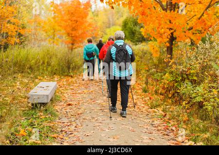 Groupe senior avec sacs à dos dans la forêt Banque D'Images