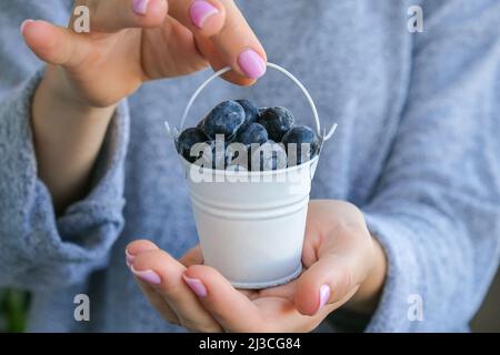 Femme tenant un seau en métal avec des bleuets congelés.Concept de récolte.Les mains des femmes collectent les baies.Concept de saine alimentation.Faire le plein Banque D'Images