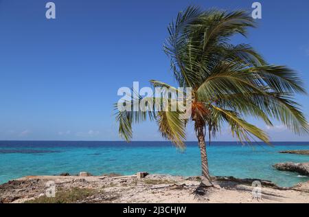 La splendide mer de la Baie des cochons, Cuba Banque D'Images